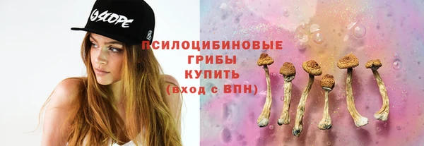 стаф Пестово