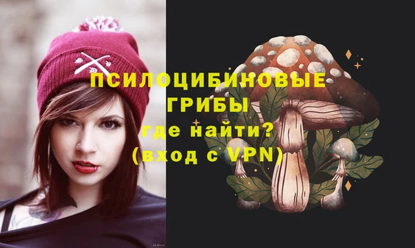 a pvp Алзамай