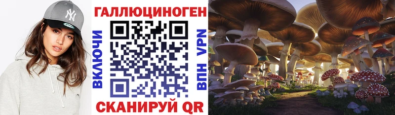 Псилоцибиновые грибы ЛСД Кизел